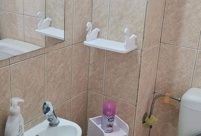 Garsonieră decomandată în Abator - 3