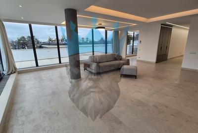 Penthouse 4 Camere Kiseleff Bucuresti - 3