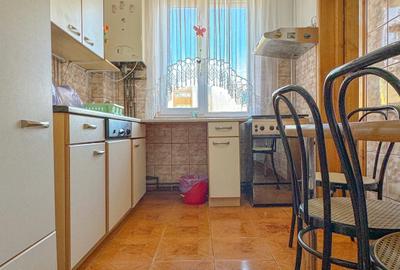 Apartament cu 2 camere, etaj 2/4, Triaj - 4