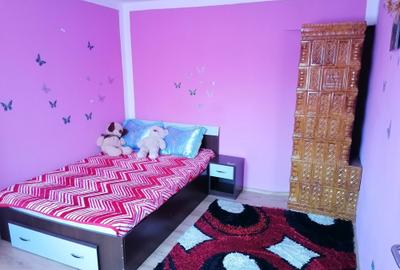 Casă cu 3 camere în Radu Negru - 5