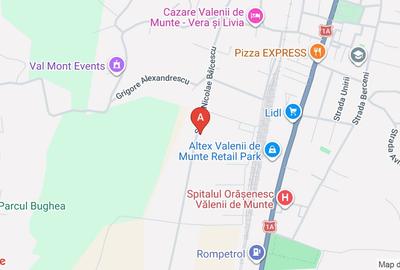 Teren Construcții intravilan de 43000 mp, în Central - 1