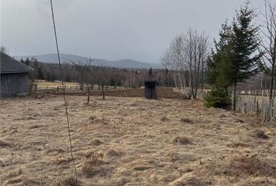 Teren intravilan I 2433 MP I Dealu Negru - 3