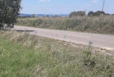 Teren de 27000 mp, în Drăguș - 2