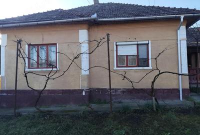 Casă cu Teren 963 Mp în Băi - 5