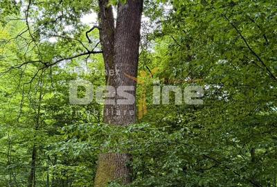 Teren extravilan de 17 mp, în Bălilești - 10