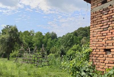 VAND CASA IN CAPU Piscului Godeni judetul Arges - 7