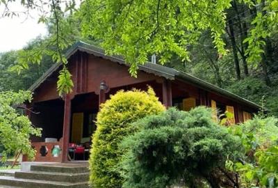 Pensiune montana cu 3200 mp teren in Bicaz, judet Neamt