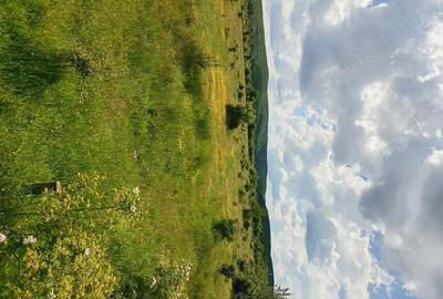 Teren de 1500 mp, în Merișani - 5