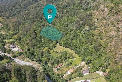 Teren intravilan de 1500 mp pe deal in Moneasa - 1