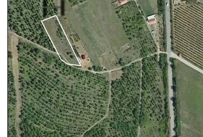 Teren de 3960 mp, în Oncea - 3