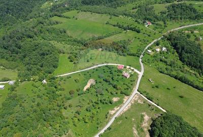 DE VANZARE - Teren intravilan 3 hectare, in Codrul Butesii, Maramures - 5