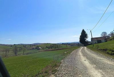 Teren de 2425 mp, în Barcani - 3