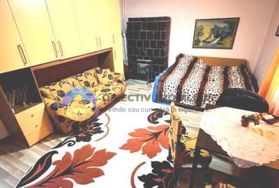 Casa SLOBOZIA langa orasul ROZNOV - 8