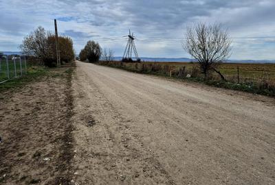 Teren constructie hala/depozit/mica insdustrie/service auto, Halchiu - 3