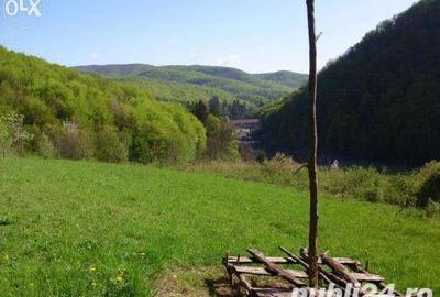 Teren de 18000 mp, în Moneasa - 4