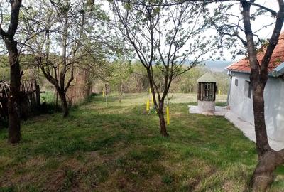 Casă cu 2 camere cu Teren 8000 Mp în Barbura - 3