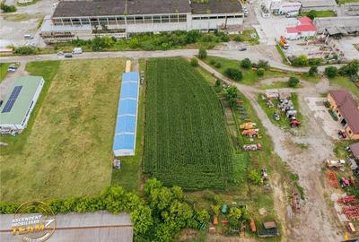 FILM! 4.600mp,aria industriala,utilitati aproape:hala,depozit,service auto - 8