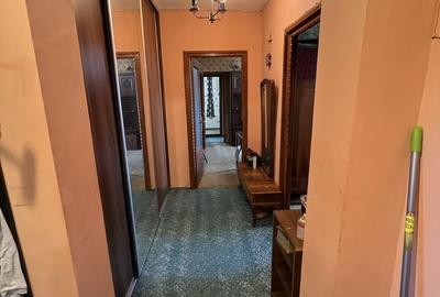 Apartament cu 3 camere semidecomandat, mobilat în Gorjului - 5