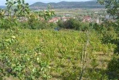 Teren, 3.000 mp ALBA, AIUD - 3