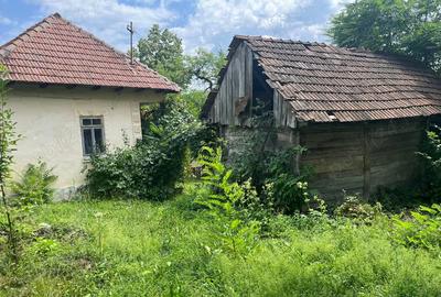 Casa de caramida la ?ara - 4