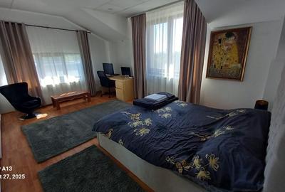 Vinzare pensiune, 380mp construiti, compusa din 4 apartamente independente - 12