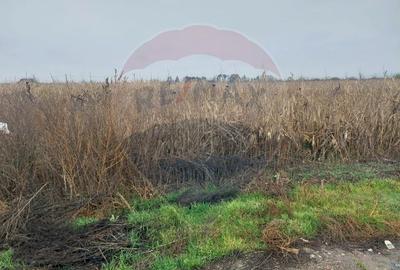 Teren Construcții intravilan de 2114 mp, în Nicolae Bălcescu - 5