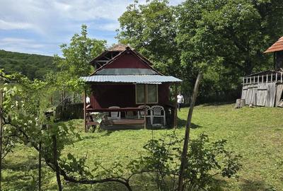 Casă cu 3 camere cu Teren 1400 Mp în Nicolae Bălcescu - 8