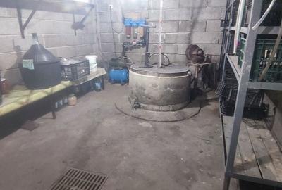 Casă cu 4 camere cu Teren 1900 Mp în Orbeni - 14