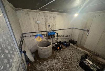 Casa tradi?ionala de vanzare in comuna Podoleni, jud. - 18