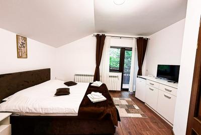 Vânzare pensiune completă – Bran, Sohodol | 0% comision | Exclusivitate - 13