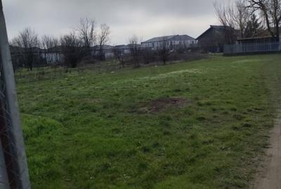 TEREN DE VANZARE DOMNESTI, 600 mp - 8