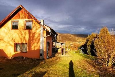 Casa Renovata P+1, 269MP, teren 40 ari, Caluseri, Mures - 12