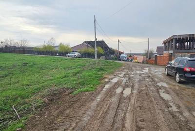 Teren Construcții extravilan de 6000 mp, în Șendreni - 3