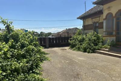 Casă în Poiana Mare - 2