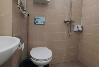 Garsonieră decomandată în Craiovița Nouă - 1