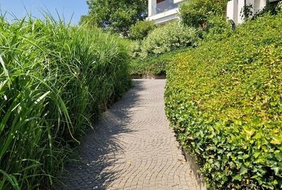 Pipera, Waterfront, lux, predare imediata, loc de parcare, nou - 2