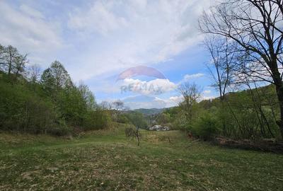 Teren superb, intravilan - la marginea padurii ! - 19