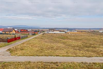 Teren 1000 mp Harman - 6