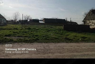Teren de 1439 mp, în Bobda - 5