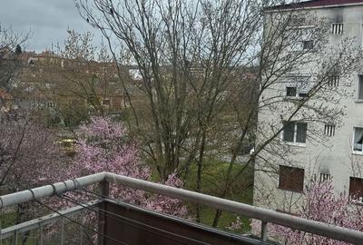 Apartament cu 3 camere decomandat, mobilat în Central - 10
