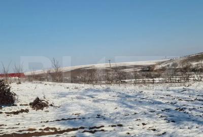 Teren de 79000 mp, în Central - 15