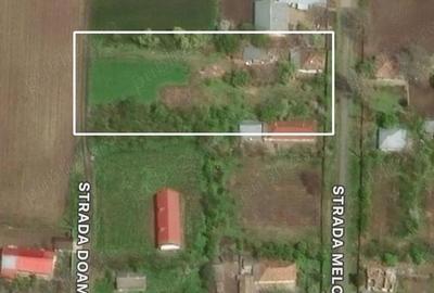 Casă cu Teren 2000 Mp în Livada - 1