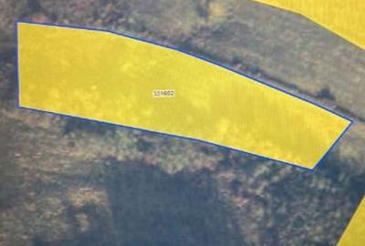 Teren intravilan | 6,259 mp | Colonia Bundus - 2