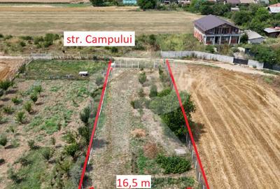 CIOLPANI Lot 5.000 MP - 3