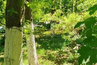 Apartament cu 2 camere în Giurgiului - 9