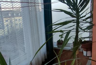 Apartament cu 2 camere decomandat în Central - 7