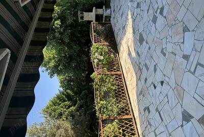 Vand proprietate deosebita in Bragadiru-Prelungirea Ghencea. - 6