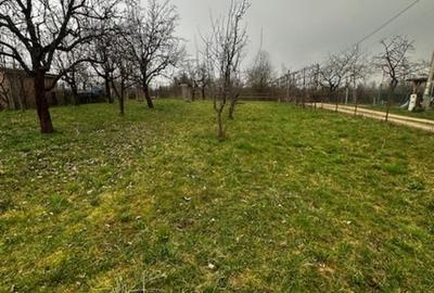 SATU NOU DE JOS, casa D+P+E 300mp , cu teren 21ari! - 12