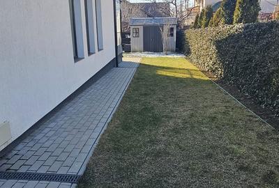 Casă cu 4 camere în Popas Păcurari - 7
