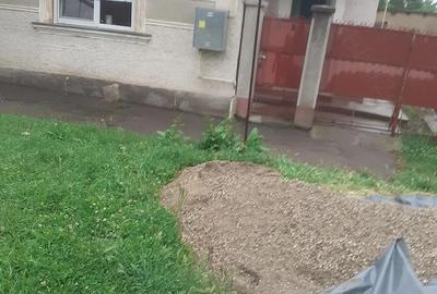 Casă cu 3 camere cu Teren 1500 Mp în Central - 2